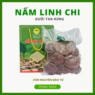 [200g trải nghiệm] Nấm Linh Chi Đỏ sấy khô được trồng dưới tán rừng HTX Núi Cờ