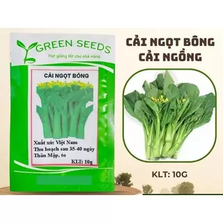 HẠT GIỐNG CẢI NGỒNG XANH