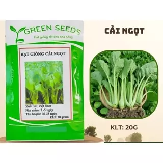 HẠT GIỐNG RAU CẢI NGỌT  15GR