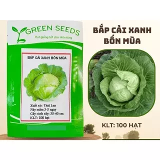 Hạt giống Bắp Cải Xanh Bốn Mùa chịu nhiệt tốt, năng suất cao