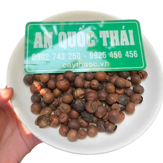 1Kg Trái Đủng Đỉnh Khô, Sạch | Thảo dược An Quốc Thái