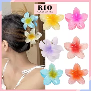 [HOT TREND] Kẹp Hoa Sứ 8cm Nhiều Màu Sắc Rực Rỡ Đi Biển Cho Nữ KNP