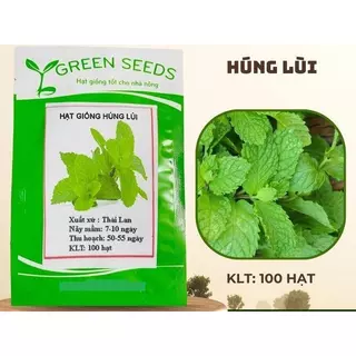 HẠT GIỐNG RAU BẠC HÀ (RAU GIA VỊ) 100 HẠT