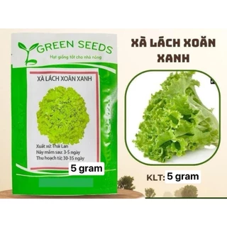 HẠT GIỐNG XÀ LÁCH XOĂN XANH 5GR