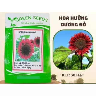 HẠT GIỐNG HOA HƯỚNG DƯƠNG LÙN ĐỎ 30 HẠT