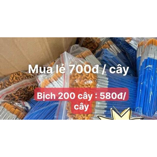 Combo 100 Cọ bản tô tượng