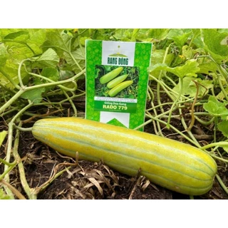 [Seeds] Hạt giống dưa gang Rado 779, đóng gói 1gr (khoảng 60 hạt)