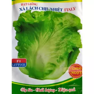 Hạt giống xà lách giòn chịu nhiệt, ăn giòn, ngọt mát, gói 5gram