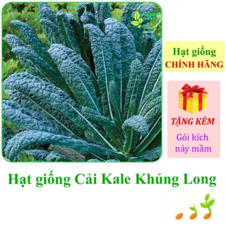 [Seeds] Hạt giống Cải kale khủng long Rạng Đông Rado 227 (gói 5g khoảng 500 hạt) - Hàng chính hãng