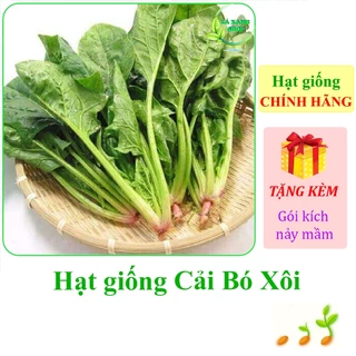 [Seeds] Hạt Giống Cải bó xôi Rạng Đông OP Rado 688 (gói 20 gram khoảng 2800 hạt) - Hàng chính hãng