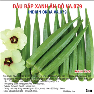 Hạt giống Đậu Bắp Xanh Ấn Độ (VA.079) 10 gam, 20 gam