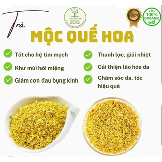 Mộc Hoa Quế- Giúp thải độc, thanh lọc cơ thể cũng như giảm đau răng, viêm họng