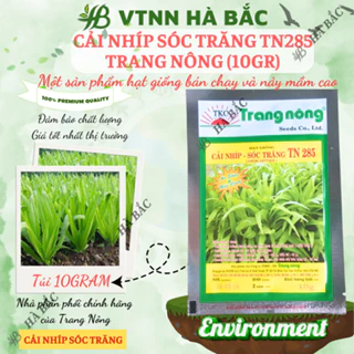 Cải Nhíp Sóc Trăng TN285 Trang Nông (10gram), hạt giống nảy mầm tốt, năng suất cao, trông quanh năm - Hạt giống Hà Bắc