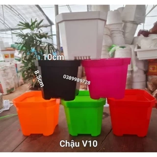 Combo 10 chậu nhựa vuông V10 kích thươc miệng 10cmx cao 8.5cm đủ màu trồng sen đá, xương rồng, cây tiểu cảnh