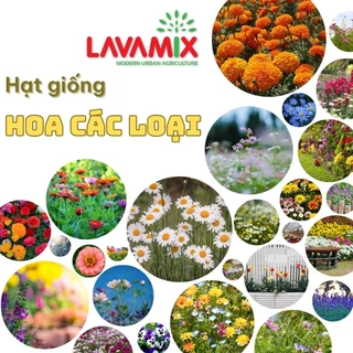 Hạt giống Hoa hiệu Rạng Đông giống hoa đẹp, trồng quanh năm | Đất trồng cây Lavamix