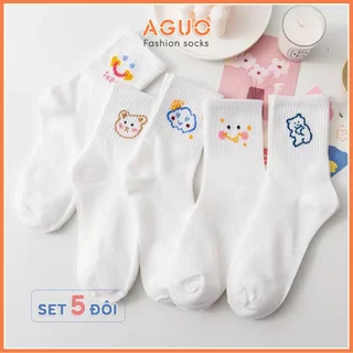 Tất nữ set 5 đôi họa tiêt dễ thương, tất vớ cotton thoáng khí thấm hút mồ hôi chân - Aguo shop