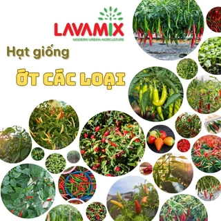 Hạt giống Ớt hiệu Rạng Đông trồng quanh năm, sinh trưởng khỏe, chịu nhiệt tốt | Đất trồng cây Lavamix