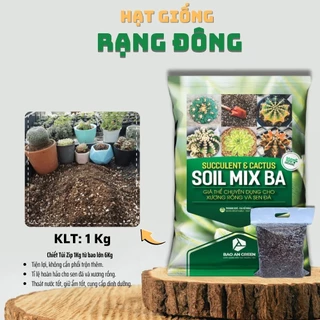 Đất Trồng Sen Đá Soil Mix BA (Túi zip 1kg) - Giá thể trồng chuyển trồng sen đá, đầy đủ dinh dưỡng - Hạt giống Rạng Đông