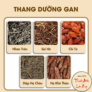 Thang bổ gan, dưỡng gan khỏe mạnh, giải độc cho gan - Lãn Ông