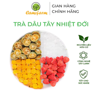 Trà dâu tây nhiệt đới sấy thăng hoa Camifarm đẹp dáng, sáng da, bổ sung vitamin C, giải khát ngày hè