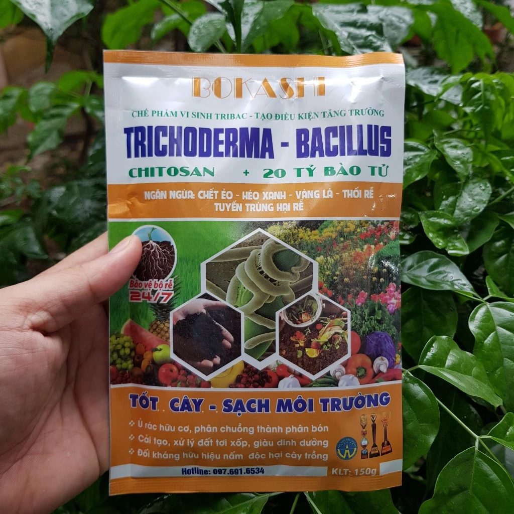 CHẾ PHẨM TRICHODERMA 20 TỶ BÀO TỬ GÓI 150G HOÀNG NGA- GIÚP PHÒNG CHỐNG CÔN TRÙNG, NẤM BỆNH