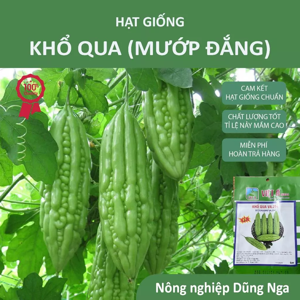 Hạt giống mướp đắng (khổ qua)