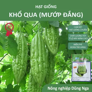 Hạt giống mướp đắng (khổ qua)