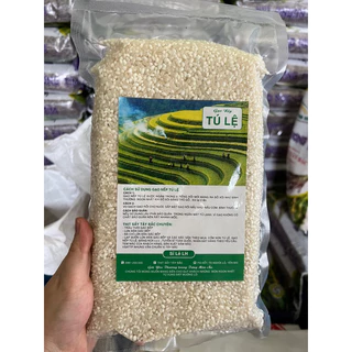 Gạo Nếp Tú Lệ  chuẩn Loại 1 không pha trộn túi hút 1 kg Dẻo Thơm hạt tròn to đều thơm mùi gạo mới