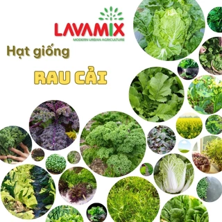 Hạt giống Rau Cải hiệu Rạng Đông trồng quanh năm, sinh trưởng khỏe | Đất trồng cây Lavamix