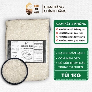 [1KG] Gạo Sinh Thái ST25 Lúa Tôm - An Nam - Gạo dẻo, thơm, đậm vị