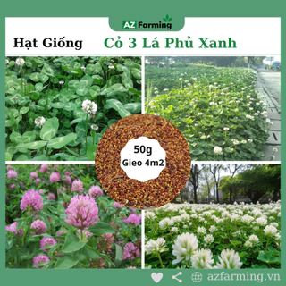 Hạt Giống Cỏ 3 Lá Phủ Xanh - Gói 50Gram (Gieo 4M2) - AZ Farming