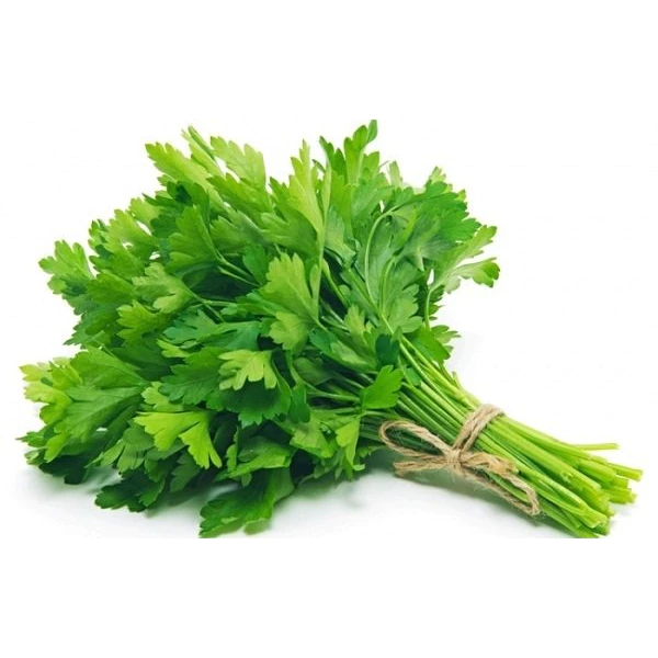 Hạt Giống Ngò Rí Bạc Liêu - Hương Vị Thơm Đậm Đà (20 gram) - Coriandrum Sativum (Hàng Công Ty)