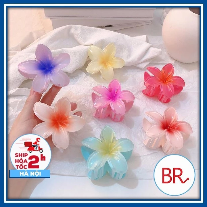 Combo (10) Kẹp Tóc Cỡ Lớn Hình Hoa Thời Trang Cho Nữ