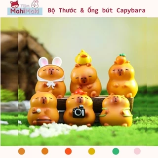 [HCM-Có sẵn] Hộp mù Capybara dễ thương, blind box capybara siêu biểu cảm