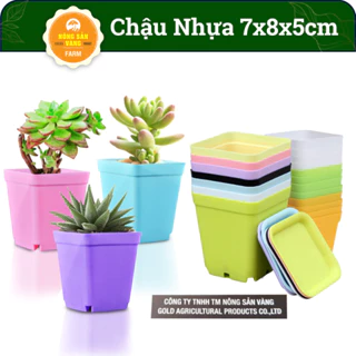 10 Chậu Nhựa Trồng Sen Đá, Trồng Tiểu Cảnh Mini, 7x8cm, Bền, Đẹp, Màu Sắc Hiện Đại, Ngẫu Nhiên - Nông Sản Vàng