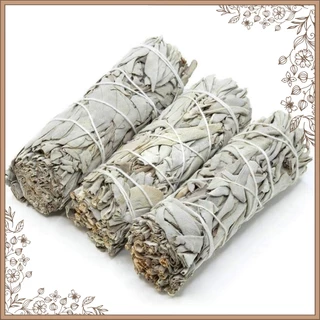 [Hàng Sẵn] Bó Xô thơm Trắng (White Sage) - 10cm - Thanh lọc không gian sống