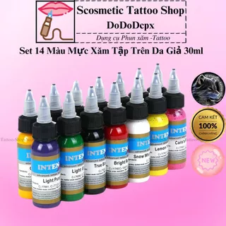 Set 14 màu mực tập xăm hình InterZ, mực xăm hình trên da giả-30ml