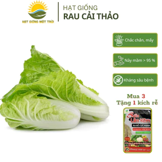 Hạt giống Rau Cải Thảo MT833, Hạt giống sinh trưởng phát triển mạnh, năng suất cao, trồng quanh năm, tỷ lệ nảy mầm>90%