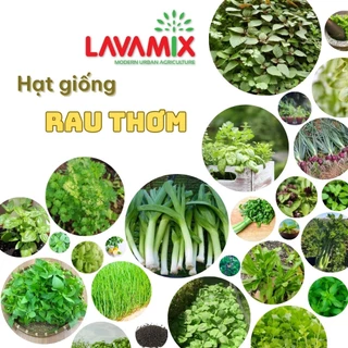 Hạt giống Rau thơm hiệu Rạng Đông chịu nhiệt tốt, trồng quanh năm | Đất trồng cây Lavamix