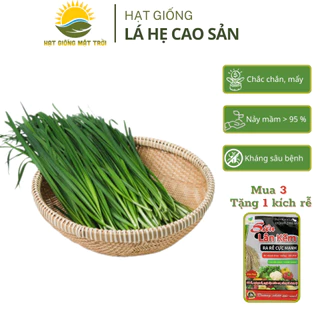 Hạt giống Hẹ Cao Sản MT128 (2g) tăng sản, trồng quanh năm, dễ trồng, dễ chăm- HẠT GIỐNG MẶT TRỜI