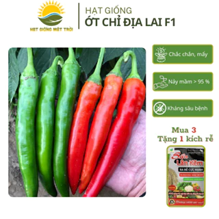 Giống Ớt Chỉ Địa Lai F1 MT 788 (0.1g~20 hạt) tăng sản, trồng quanh năm, dễ trồng, dễ chăm - HẠT GIỐNG MẶT TRỜI