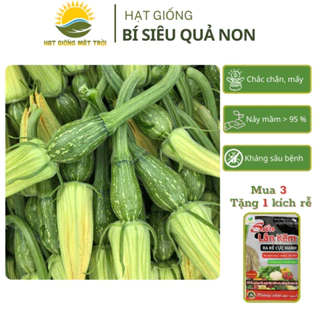 Hạt giống Bí Siêu Quả Non MT013 (0.1g~10 hạt) tăng sản, trồng quanh năm,dễ chăm - HẠT GIỐNG MẶT TRỜI