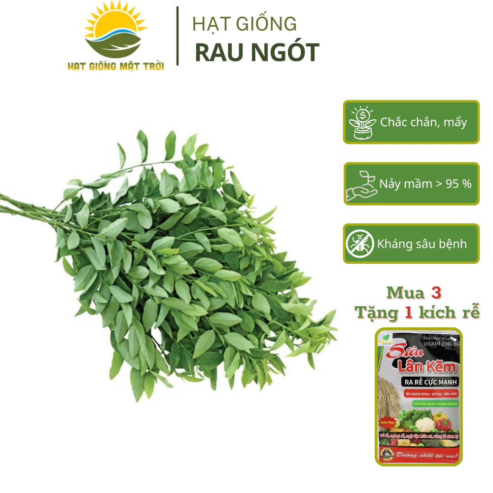 Hạt giống Rau Ngót MT758 (1g~30 hạt), trồng quanh năm, Mua 3 Tặng 1 kích rễ - HẠT GIỐNG MẶT TRỜI