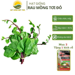 Hạt giống Mồng Tơi Đỏ MT86 (2g), trồng quanh năm, sinh trưởng phát triển mạnh, tỷ lệ nảy mầm>95% - HẠT GIỐNG MẶT TRỜI