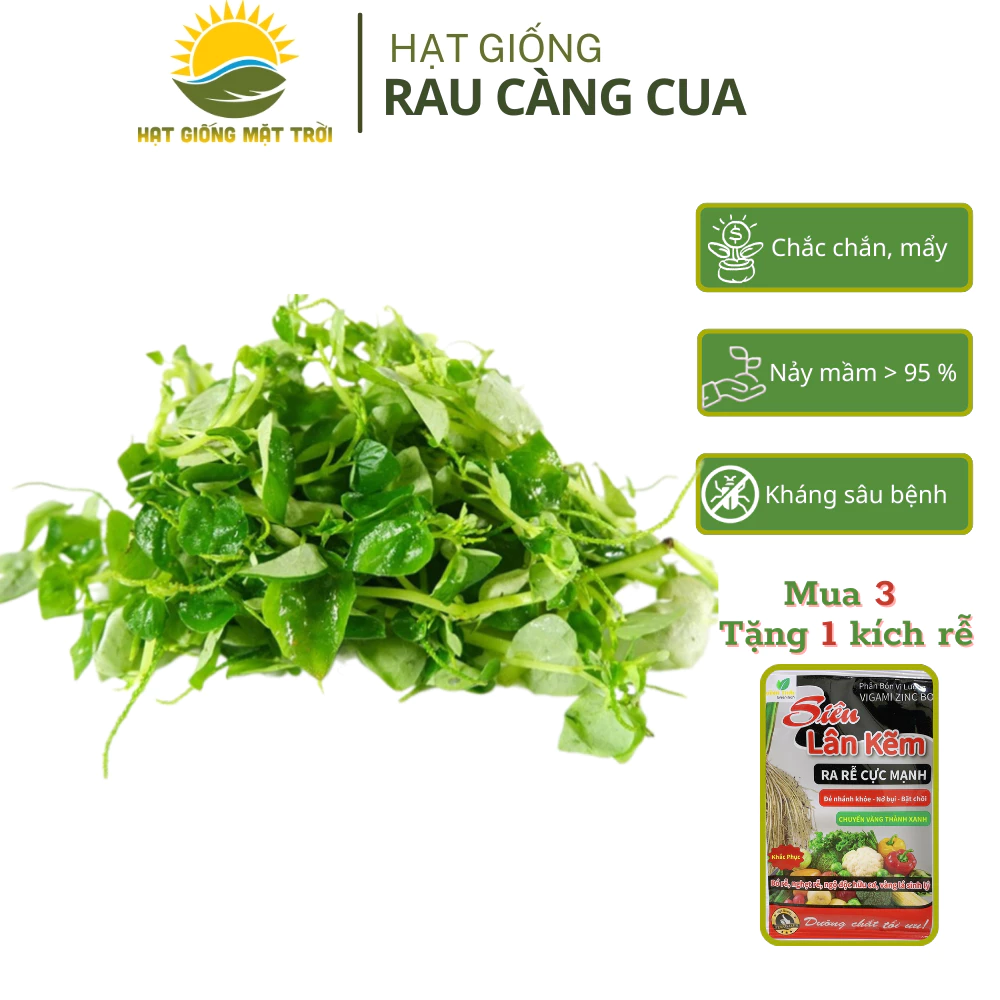 Hạt giống Rau Càng Cua MT97 (2g),Trồng quanh năm, tỷ lệ nảy mầm>95% - HẠT GIỐNG MẶT TRỜI