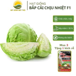 Hạt giống Bắp Cải Chịu Nhiệt F1 MT90(20g), Kháng bệnh tốt, sinh trưởng mạnh, tỷ lệ nảy mầm>95% - HẠT GIỐNG MẶT TRỜI.