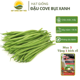 Hạt giống Dậu Cove Bụi Xanh MT59 (20g) tăng sản,trồng quanh năm,dễ trồng,dễ chăm- HẠT GIỐNG MẶT TRỜI