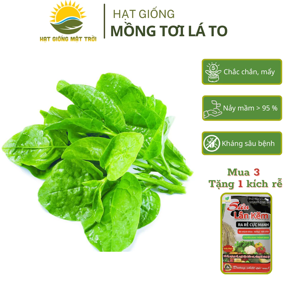 Hạt giống Mồng Tơi  Lá To MT87(20g) tăng sản, trồng quanh năm, dễ trồng, dễ chăm - HẠT GIỐNG MẶT TRỜI