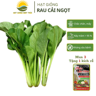 Hạt giống Rau Cải Ngọt MT 54(10g), Hạt giống kháng bệnh tốt phát tiển mạnh tỷ lệ nảy mầm>95% - HẠT GIỐNG MẶT TRỜI