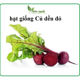 Hạt giống củ dền đỏ 2gr - dễ trồng, dễ chăm, tốt cho mắt, mát gan